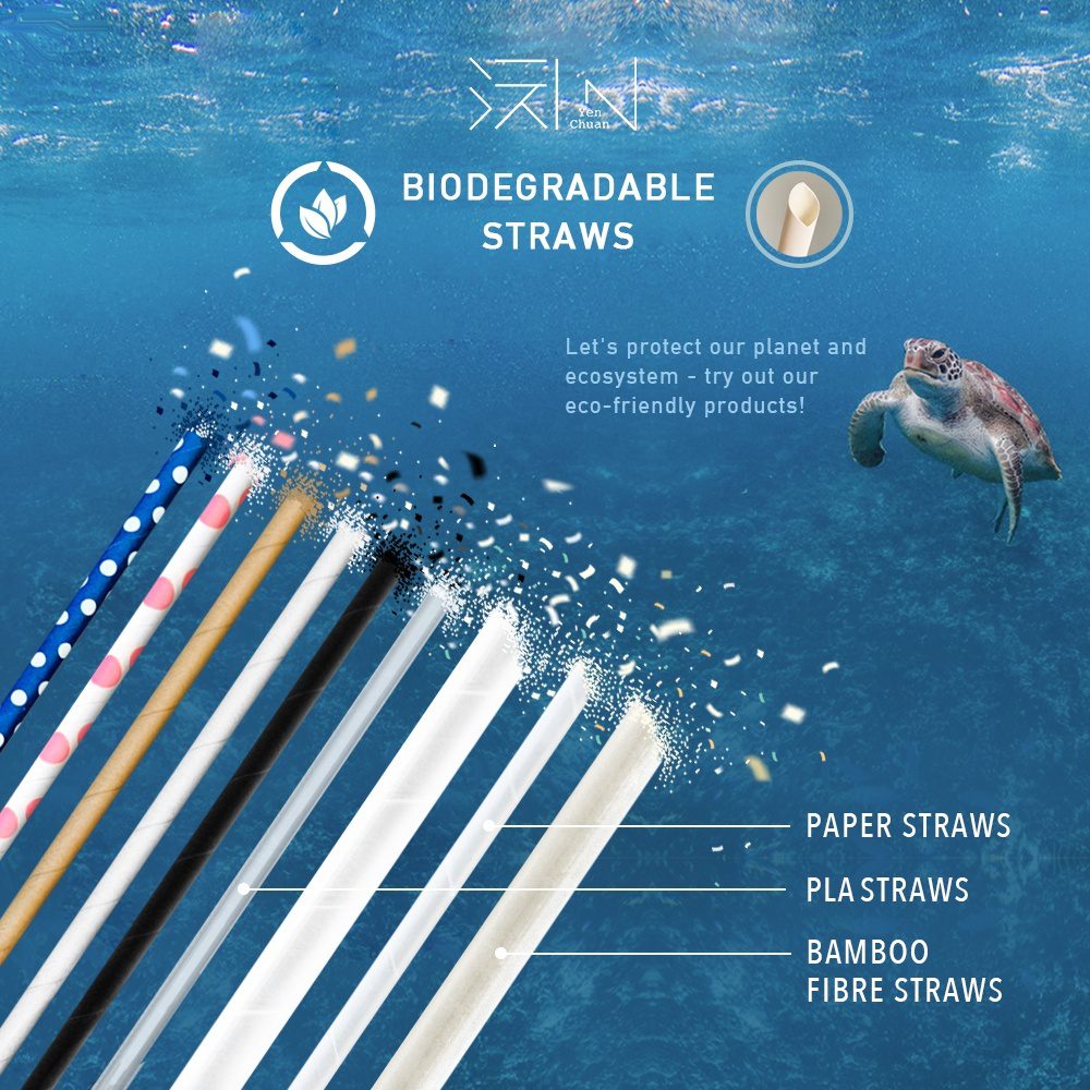 Protect the earth with eco-friendly straws! - Direct Supplier for ...