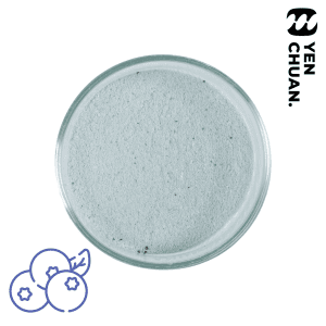 Blueberry milk powder