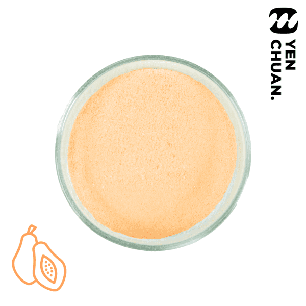 papaya milk powder