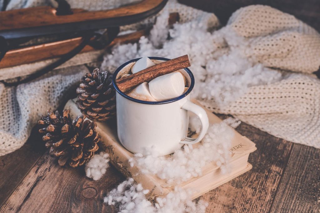 hot chocolate with cinnamon and marshmallows