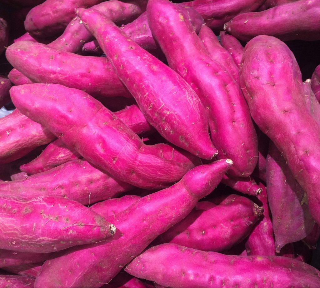 purple sweet potato